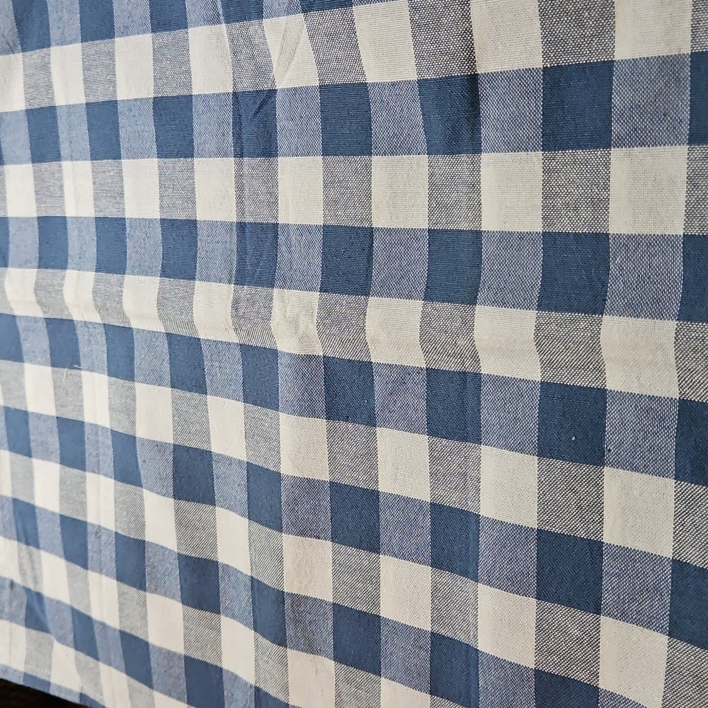 Blue And White Plaid Picnic Napkins Set of 4
